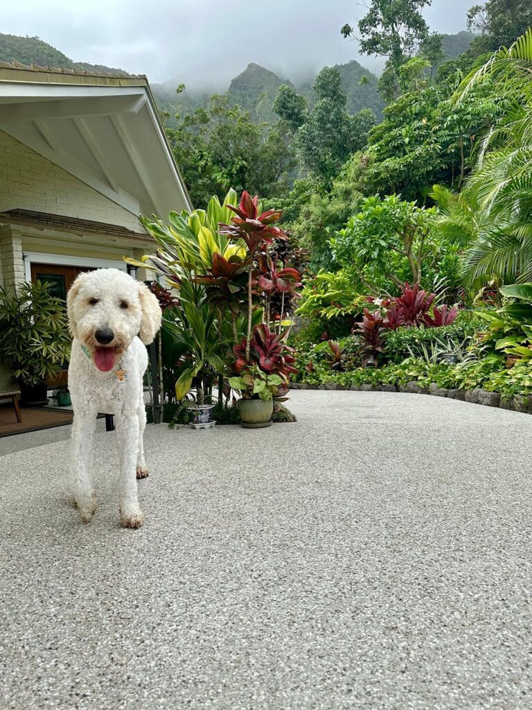 Concrete Coating Company on Island of Oahu, Hawaii